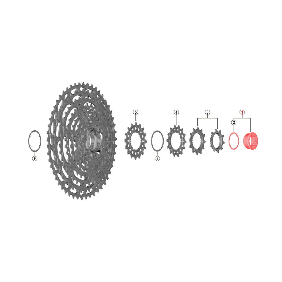 Ecrou et Entretoise de Serrage pour Cassette SHIMANO XTR CS-M9100-12 #Y1X498010