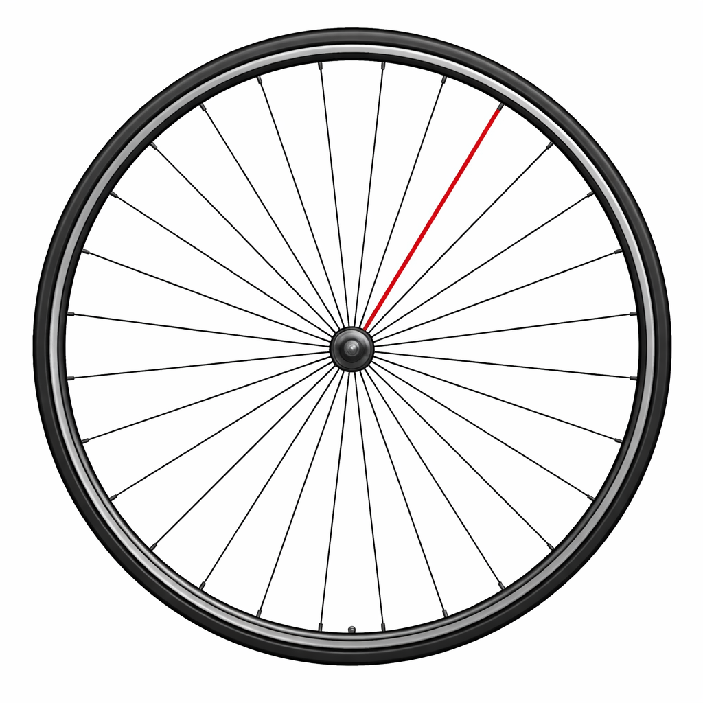 Rayon CAMPAGNOLO + Écrou SHAMAL ULTRA C17 à Patins Arrière Gauche