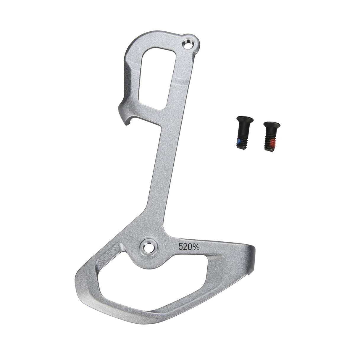 Chape Interne et Visserie de Dérailleur Arrière SRAM XX1/X01 Eagle (52T) Polar — pièce sur fond blanc