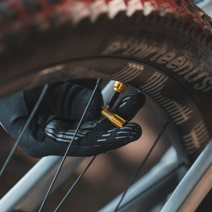 Capuchon de Valve LEZYNE CNC Noir