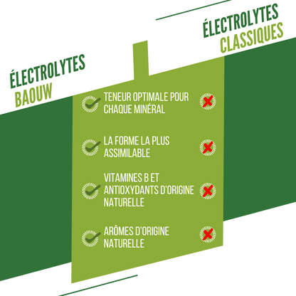 Boisson Énergétique BAOUW (Tube de 10 Pastilles) Citron Vert/Menthe