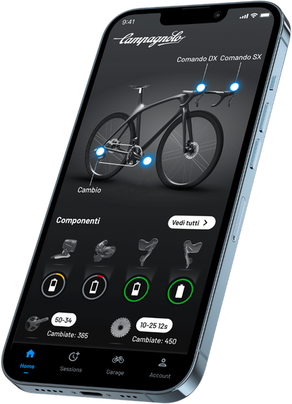 Groupe CAMPAGNOLO SUPER RECORD WRL 2x12V