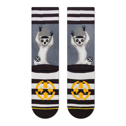 Chaussettes MERGE4 RING TAIL LEMUR