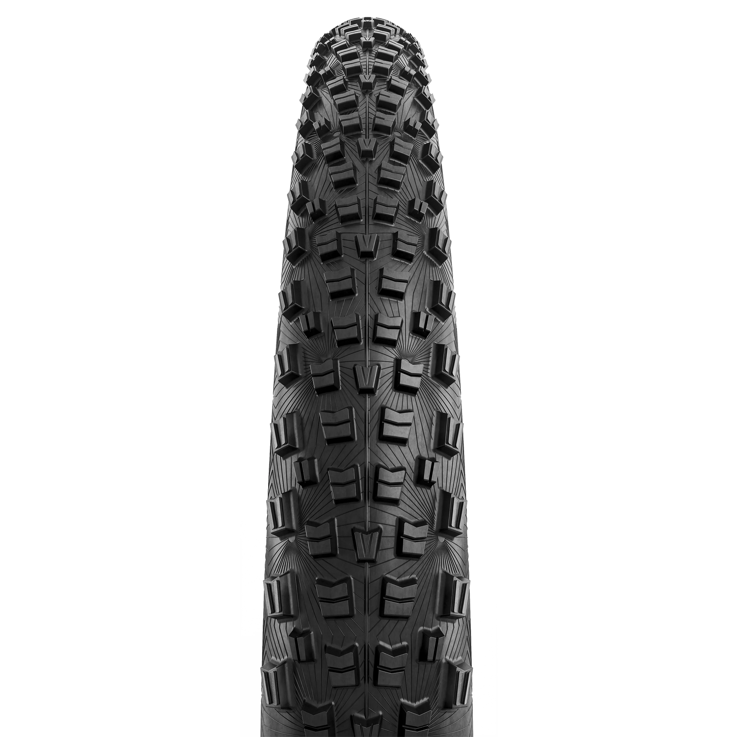 Pneu CONTINENTAL TRINOTAL Trail Rapid 29x2.40 Tubeless Ready Souple Marron