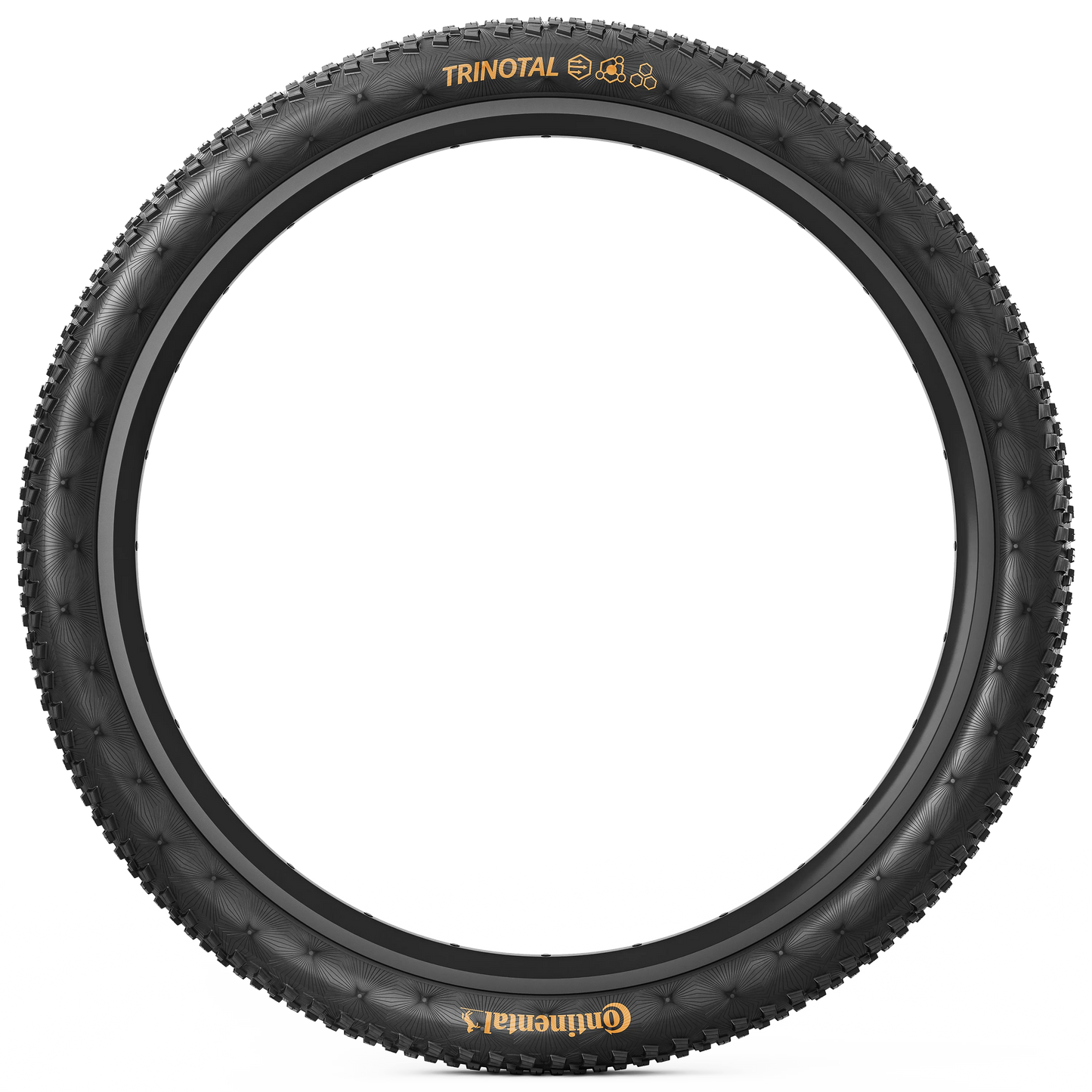 Pneu CONTINENTAL TRINOTAL Race Rapid 29x2.40 Tubeless Ready Souple Marron