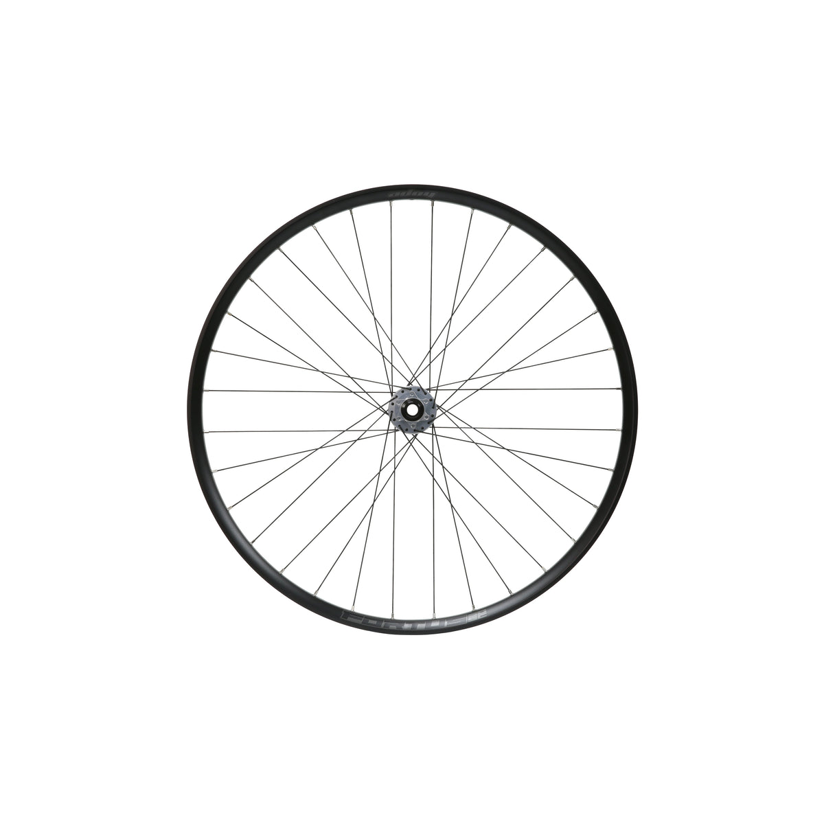 Roue avant HOPE Fortus 30 W SC 29 pouces, moyeu Pro 5 Argent