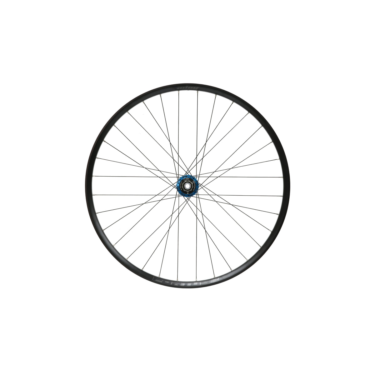Roue arrière HOPE Fortus 30 W SC 29 pouces, moyeu Pro 5 Bleu