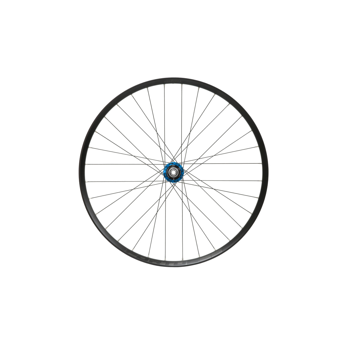 Roue arrière HOPE Fortus 35 W 29 pouces, moyeu Pro 5 Bleu