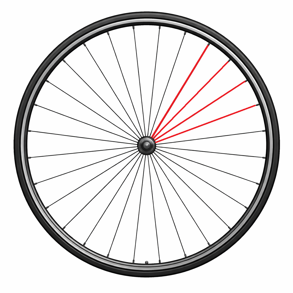 Kit de 4 Rayons CAMPAGNOLO SCIROCCO 2013 Avant