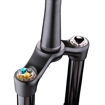 Fourche FORMULA SELVA V 29" Axe 15x110mm Boost Noir