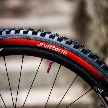 Pneu VITTORIA MAZZA ENDURO RACE 29x2.60 Graphene/Silica Tubeless Ready Souple Noir