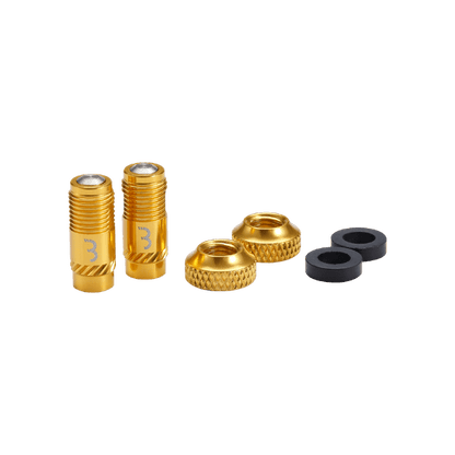 Embouts de Valves BBB CORE CAP Or (x2)