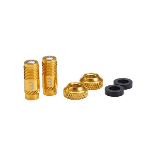 Embouts de Valves BBB CORE CAP Or (x2)