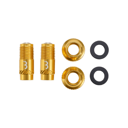 Embouts de Valves BBB CORE CAP Or (x2)