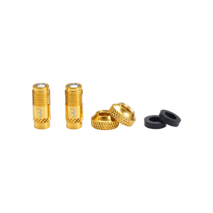 Embouts de Valves BBB CORE CAP Or (x2)