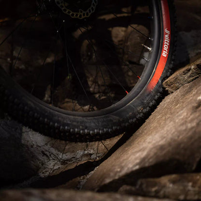 Pneu VITTORIA MOTA ENDURO RACE 29x2.40 Graphene/Silica Tubeless Ready Souple Noir