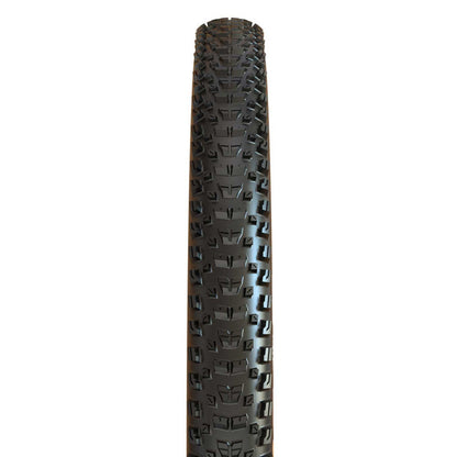 Pneu MAXXIS REKON 29x2.60 Exo+ MaxxTerra Tubeless Ready Souple