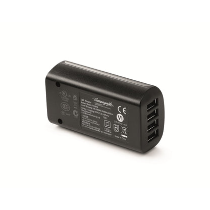 Chargeur pour batterie CAMPAGNOLO SUPER RECORD WRL 12-13V AC23-BCWRL