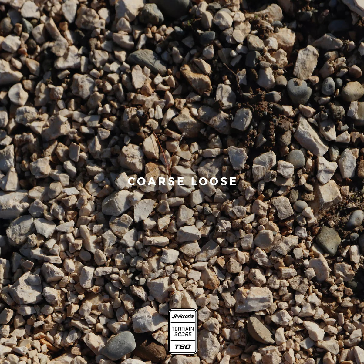 Pneu VITTORIA TERRENO T80 COARSE LOOSE Gravel Endurance 700x37c Tubeless Ready Souple Noir